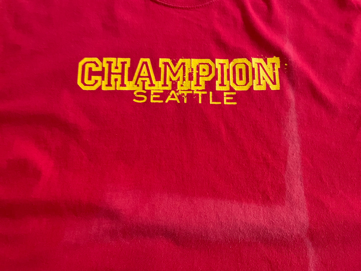 Champion - I Don’t Quit, You Don’t Quit - Original Vintage early ‘00’s Longsleeve
