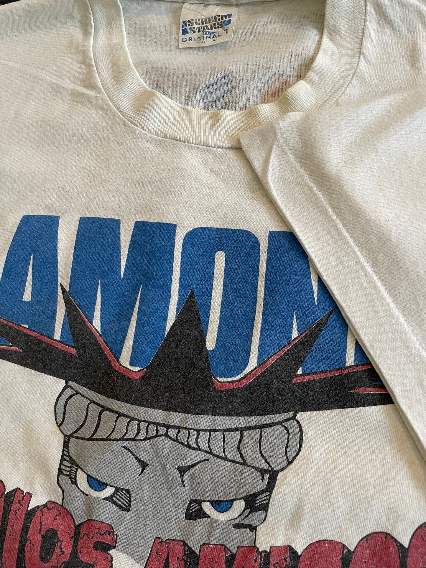 Ramones - Adios Amigos - The Final Tour Europe 1996