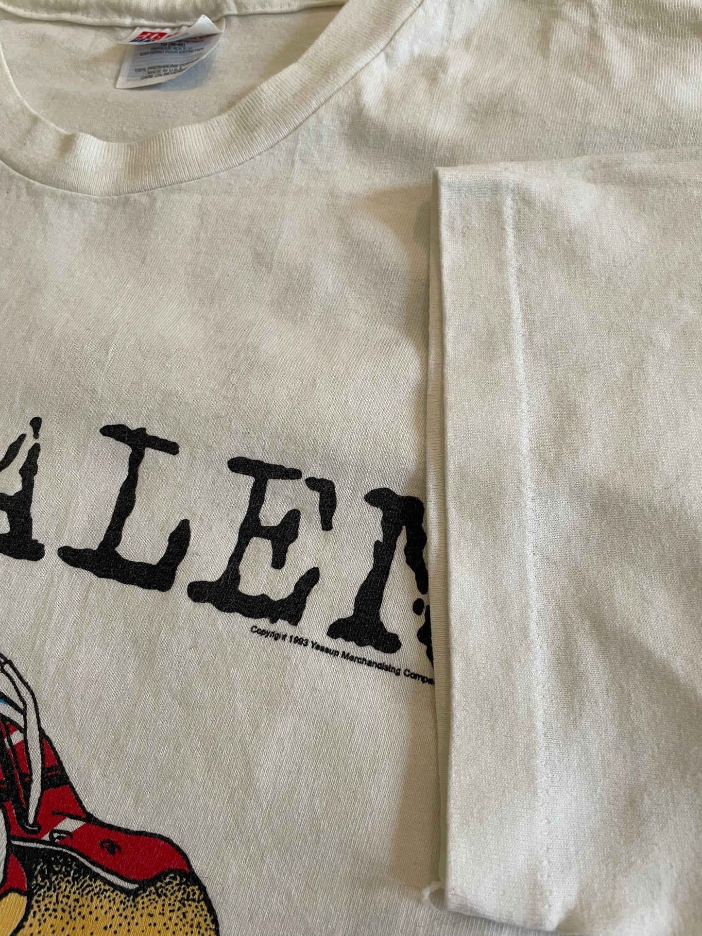 Van Halen - Right Here, Right Now 1993 World Tour - Original Vintage t-shirt