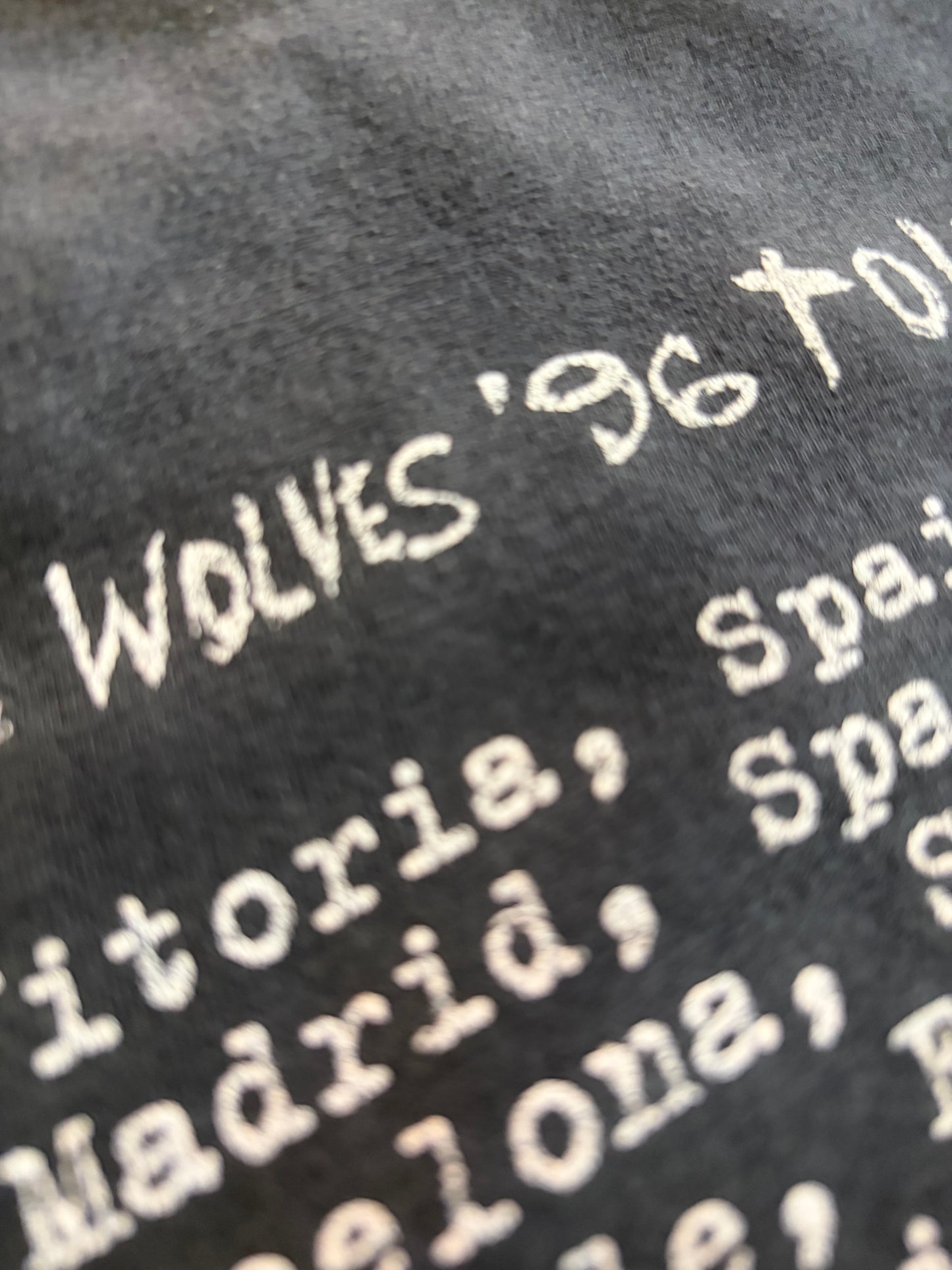 Rancid - …And Out Come The Wolves ‘96 Tour - Original Vintage t-shirt
