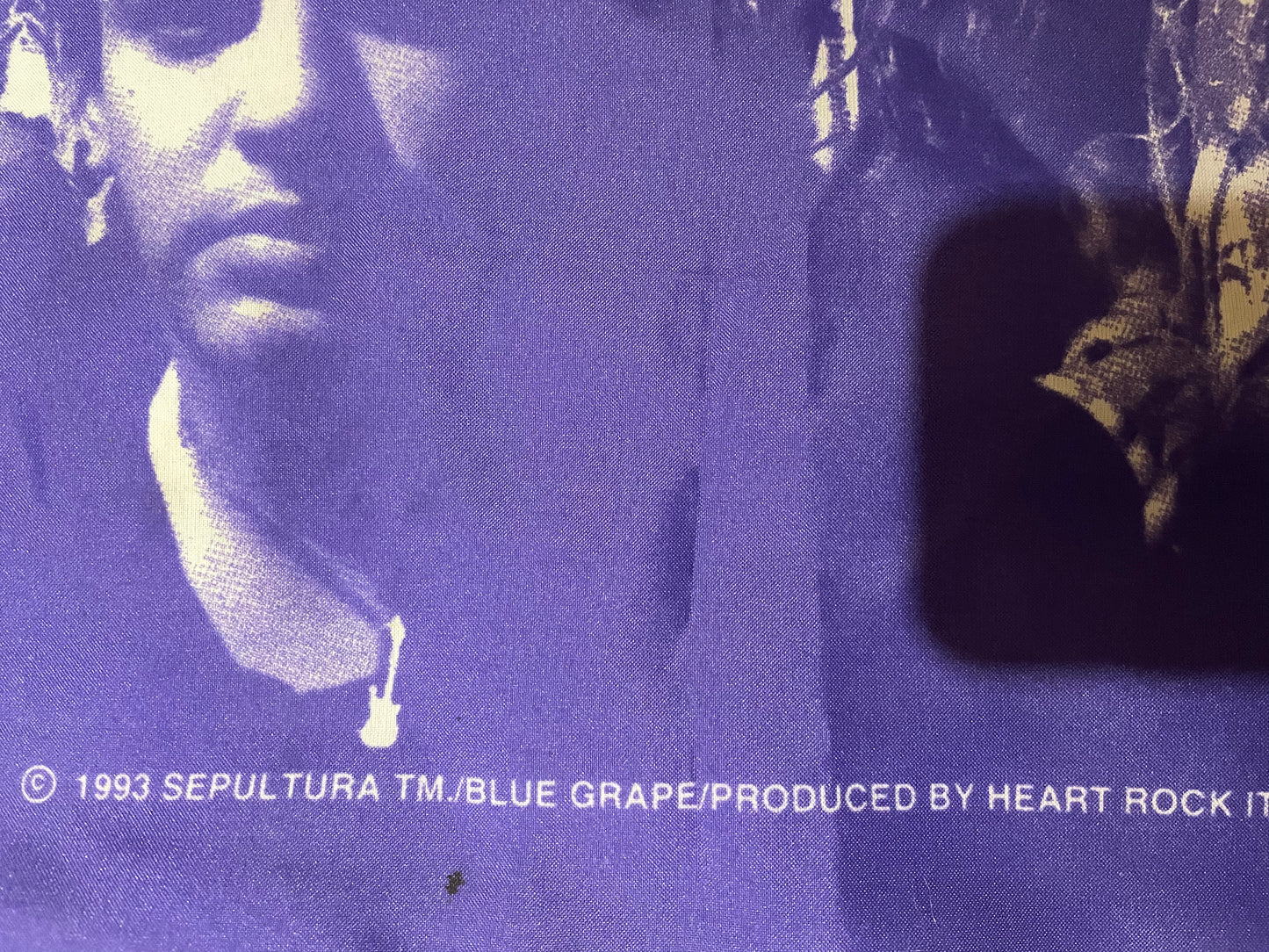 Sepultura - Original Vintage 1993 Blue Grape Flag